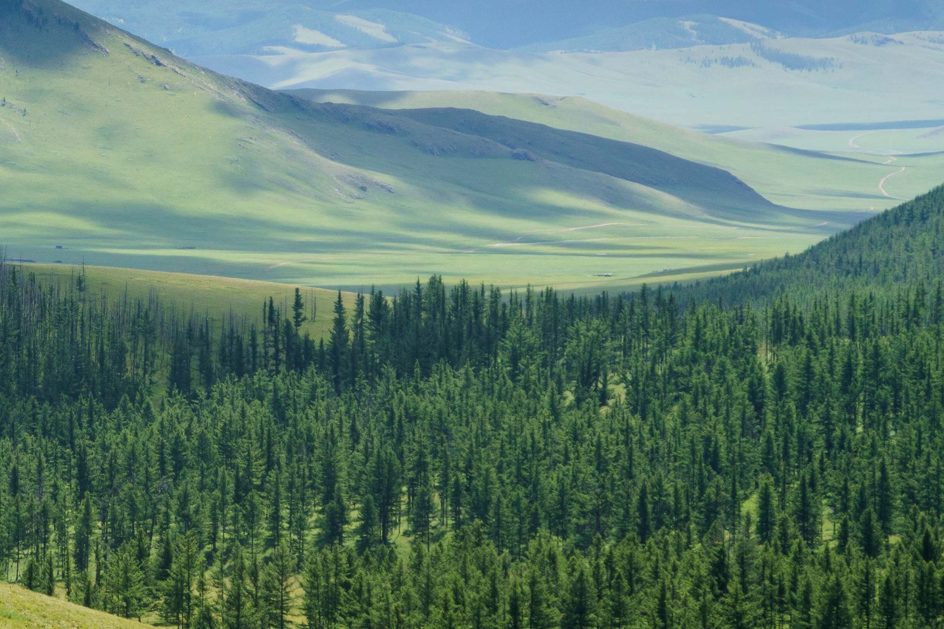 Expansive view of a lush green valley with rolling hills and a dense forest in the foreground. Sunlight creates patterns on the landscape, casting shadows among the hills. A winding road is visible in the distance.