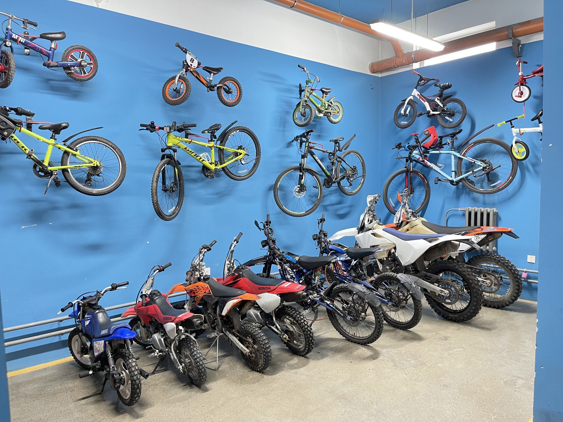 A room with blue walls displaying various bicycles and dirt bikes. Bicycles are mounted on the walls while dirt bikes are parked on the ground. The setup showcases different sizes and colors of bikes in an organized manner.