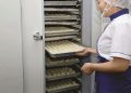 A person wearing a hairnet and uniform places a tray of dumplings into a large, open freezer filled with stacked trays of similar dumplings.