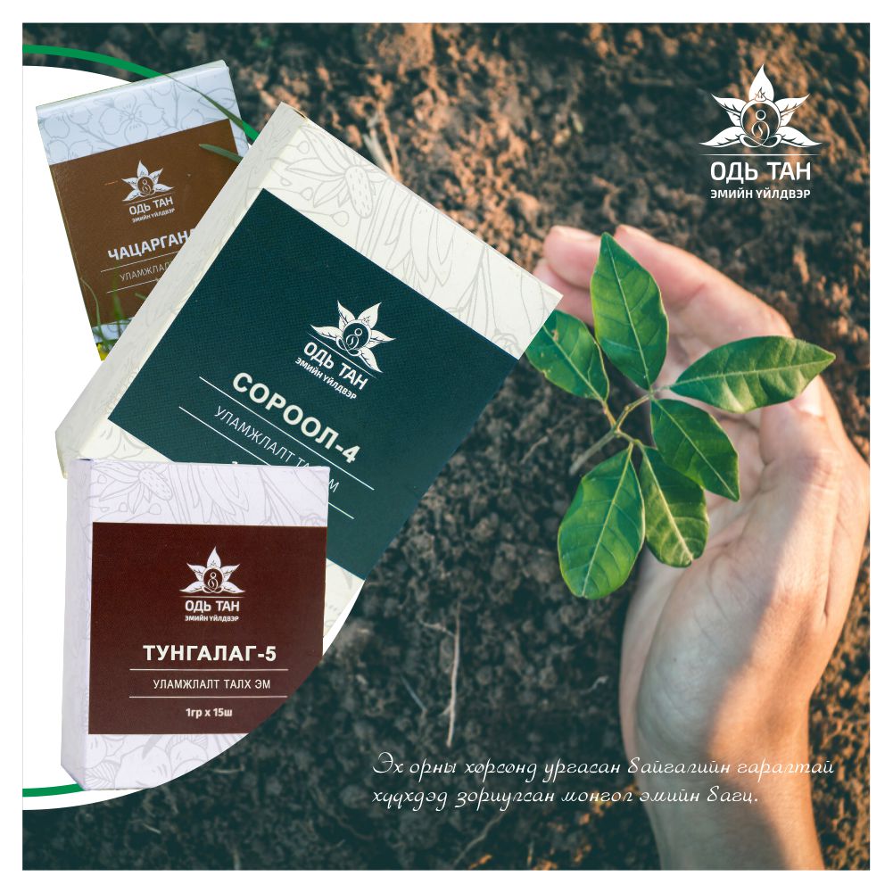 Close-up of a person's hands holding a green plant seedling. In the background, there are three boxed herbal medicine products with intricate designs and Cyrillic text, placed on green leaves.