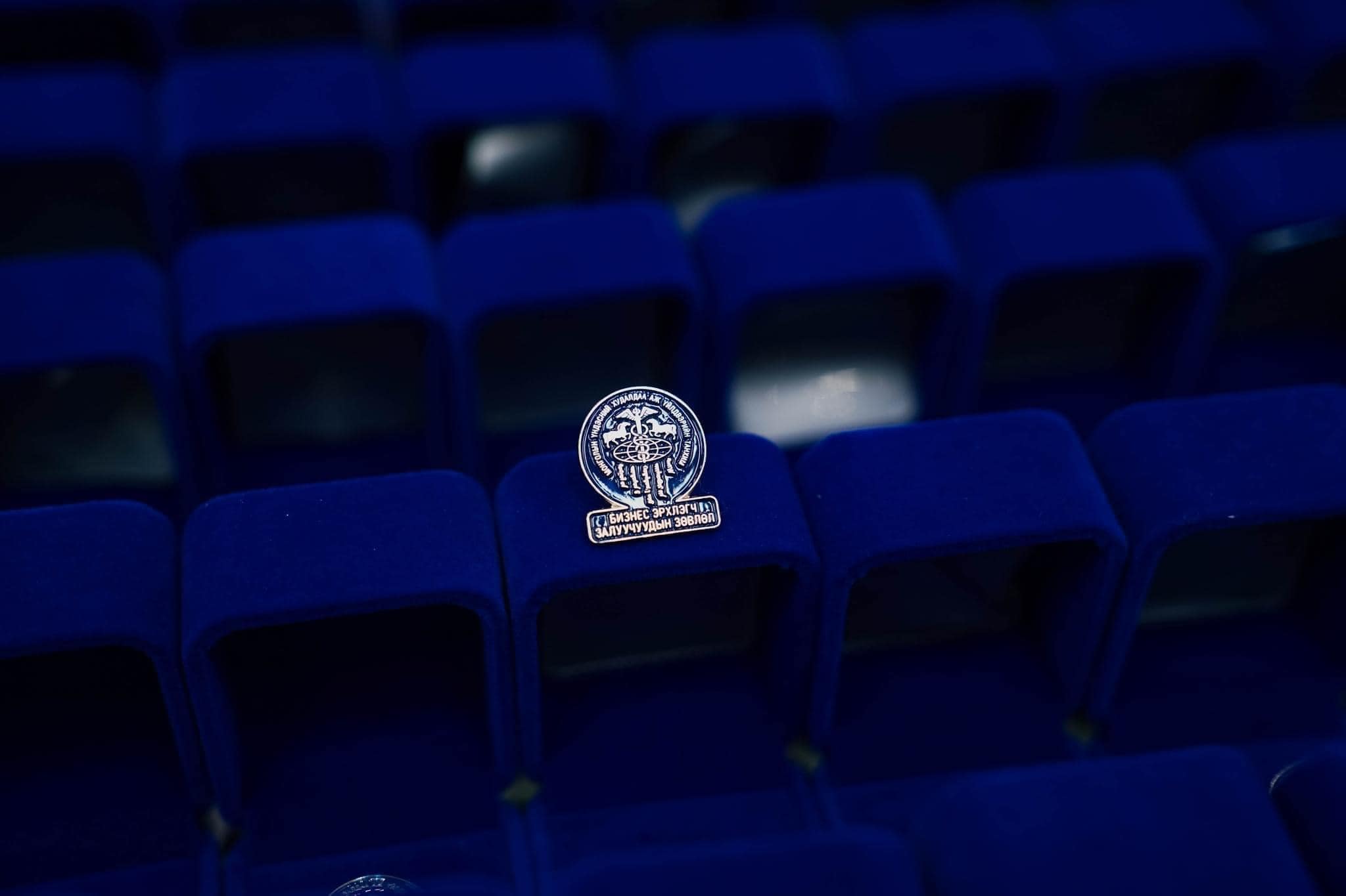 A silver pin with an intricate design and embossed text rests on a dark blue velvet display. The background features a blurred array of similar blue compartments.