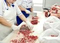 Two individuals in white uniforms and gloves are cutting raw meat on a white countertop. One uses a cleaver to chop meat into small pieces. Sliced meat and large cuts are visible nearby. White bags are placed on the counter.